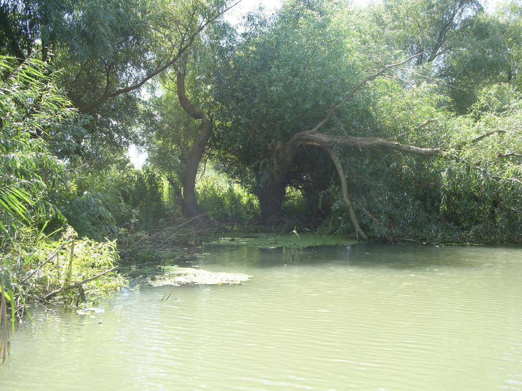 فندق Casa Oana سولينا المظهر الخارجي الصورة
